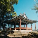 성흥로97번길 네이버블로그