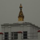 룸비니 - 종로구 종로 333 | 룸비니