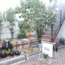 라일락식당 이미지