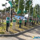 연일읍사무소 이미지