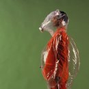 미래패션