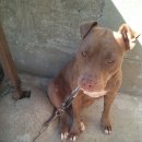 빨대소리 이미지