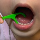 바다클라쓰 | [리뷰] "엄마, 오늘은 공룡 치실 할래!" 🦖 양치 전쟁 끝내주는 로얄클라쓰 바다 동물 치실 후기 ✨