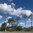 인팩혼시스템(주)노동조합 | 제목은 개오랜만의 근황으로 하겠습니다. 근데… 탄생일을 곁들인.
