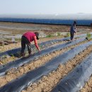 정읍시농협조합공동사업법인 이미지