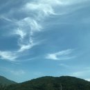 여항산보리한우 이미지