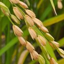 우보농장 이미지