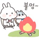 수덕 캠핑장 이미지