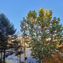 감리교신학대학교 | 만나교회 결혼식, 감리교신학대학교 결혼식 그리고 밴드합주, 블로그이웃 만남 (어제일기)