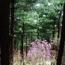 준행정사 이미지