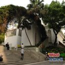 구룡공원입구 이미지