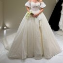 천변우로 | [W6] 광주 보헤브/비마이스튜디오 드레스 사전 피팅 솔직 후기(재피팅/추가금 80만원대/주차/소요시간)