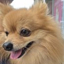 만경장 | KSPEN-한국정맥경장영양학회 6월 13일 다녀온 후기