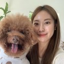 앨피앤북스테이민박