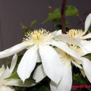 풍경(오월의 이야기 이미지