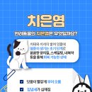 해온동물병원 이미지