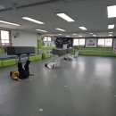 T.S 한국체대 한일태권도장 이미지