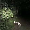 태봉농장2 이미지