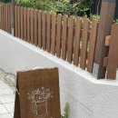 드렁큰 샐러드 | 광주동명동 술집 드렁큰베어 굴라쉬 잠봉 맛집 위스키펍