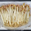 소야 영농조합법인 이미지