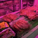 숙대입구역 10번 출구 이미지