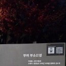 백제탐방(2)ㅡ부소산성~ 낙화암~정림사지~중문지~왕릉원ㅡ효성지극했다는 의자왕과 궁인들의 희생 역사현장에 숙연한 부여여행(12.2-3) 이미지