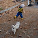 책앤아웃 호스텔 | 33개월 아기와 월악산유스호스텔 가을 겨울 후기 TypeD 101호 | 모래놀이 바베큐 불멍