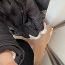 신세계아울렛마트 | [알바후기] 신세계프리미엄아울렛 행사 알바 후기