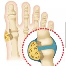신성정형외과 이미지