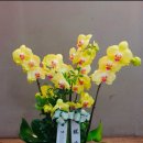 마산제일내과의원 이미지