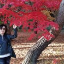 (주)레이크힐스호텔 이미지