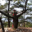 강촌검문소 이미지