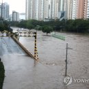 온천천일대6 이미지