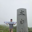 신화종합정비 | 태백산 당골광장 등산코스 소요시간 및 난이도 장군봉 천제단 곰탕 극복 여름 등산 후기