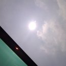 고색중학교 Daum카페