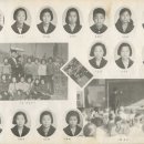 청룡초등학교 22회 졸업앨범 이미지