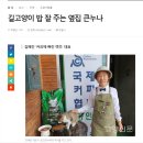 커피에 빠진 캣츠 이미지