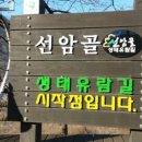 선암펜션민박 이미지