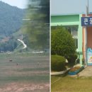 화정초등학교 이미지