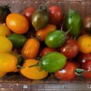 rainbow마트 이미지