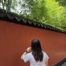 삼국지랜드 | [2025] 중국 청두 Chengdu 여행 🇨🇳 - 1. 무후사, 삼국지, 특히 촉빠의 성지