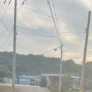 더 레이크 서지 이미지