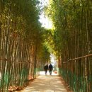 3.1역사공원 이미지