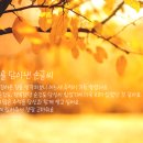 다온폰트손글씨센터 이미지