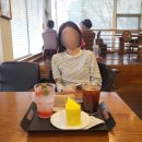 느루민박 네이버블로그