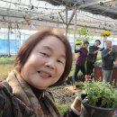 체험박사 이미지