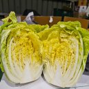 5월15일.김치(알배추겉절이,열무얼갈이,알타리무,알배추무물김치,오이소박이,알쪽파김치),장류(전복,꽃게,칠게,돌게),홍어무침,여수갓김치 이미지