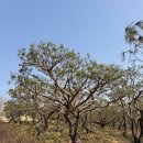 성주농원 이미지