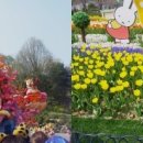 자운학교 이미지