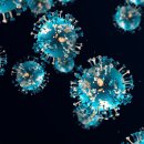 이산동물의료센터 이미지